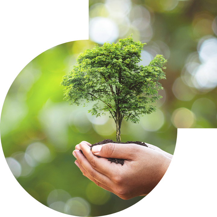 關懷人類、文化、環境與社會